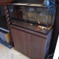 eiken kast